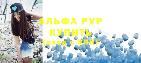 прущие грибы Мегион