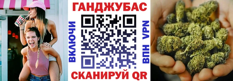Конопля планчик  Сясьстрой 